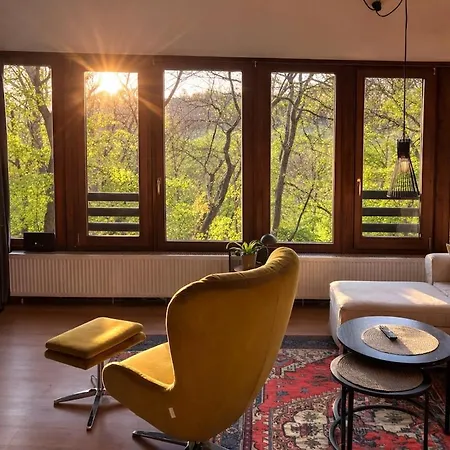 Idyllisches Haus Im Wald Ferienhaus