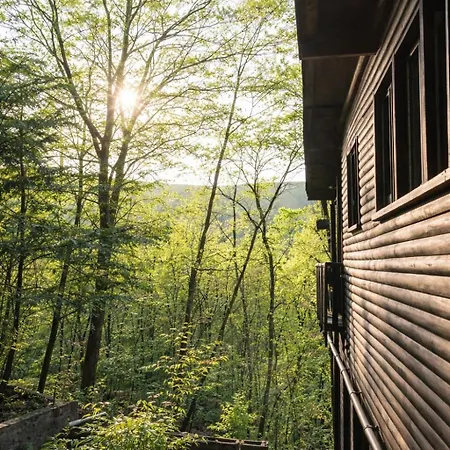 Baumhausfeeling Im Wald Nahe Der Loreley *